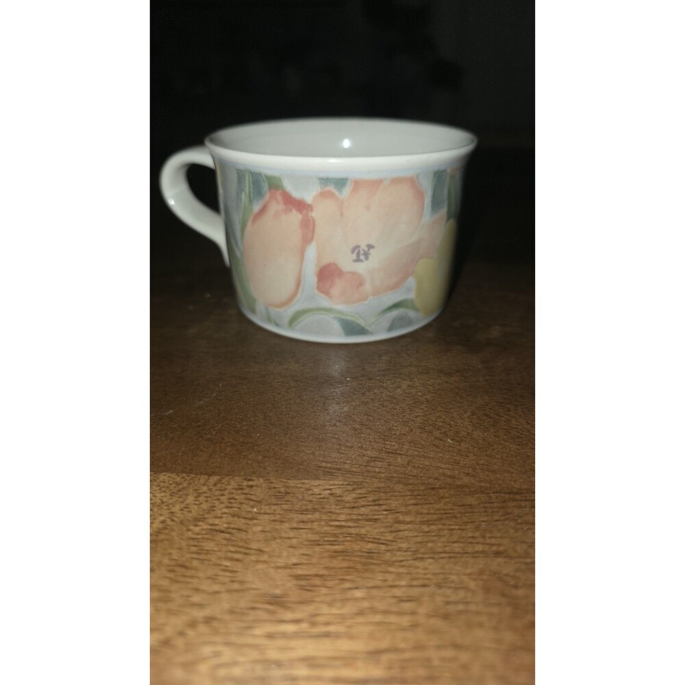 Mikasa Intaglio Cezanne CAC41 Floral Ceramic Mug Handle Microwave Dishwasher